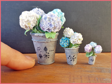 Hydrangea – No Special Punch Needed