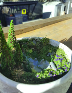 diorama2