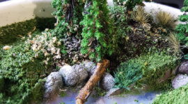 My First Diorama Type Thingy